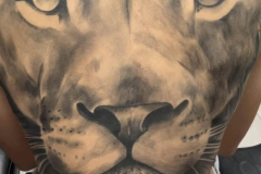 476118234_122211780992060034_2600797679201663045_n