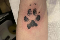 476837370_122211780794060034_7235221317254541928_n