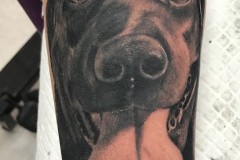 477038937_17920351944024583_7809604325796051455_n