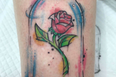 WhatsApp-Image-2025-02-06-at-10.25.31-6