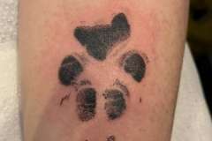 WhatsApp-Image-2025-02-06-at-10.25.29-3