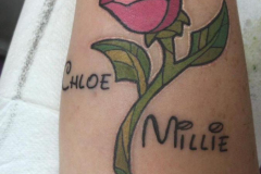 WhatsApp-Image-2025-02-06-at-10.25.30-7