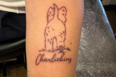 WhatsApp-Image-2025-02-06-at-10.25.30