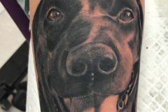 WhatsApp-Image-2025-02-06-at-10.25.31-5