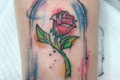 WhatsApp-Image-2025-02-06-at-10.25.31-6