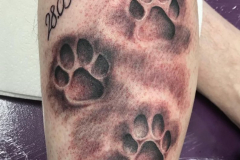 WhatsApp-Image-2025-02-06-at-10.25.31-7