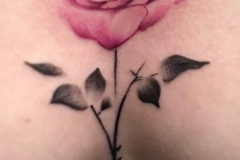 WhatsApp-Image-2025-02-06-at-10.25.31-8