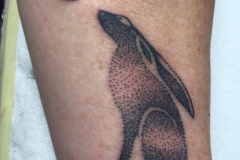 WhatsApp-Image-2025-02-06-at-10.25.31-9