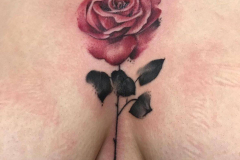 WhatsApp-Image-2025-02-06-at-10.25.32