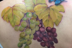 WhatsApp-Image-2025-02-06-at-10.32.31-2